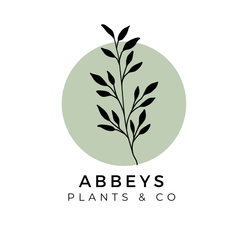 Abbeys Plants & Co