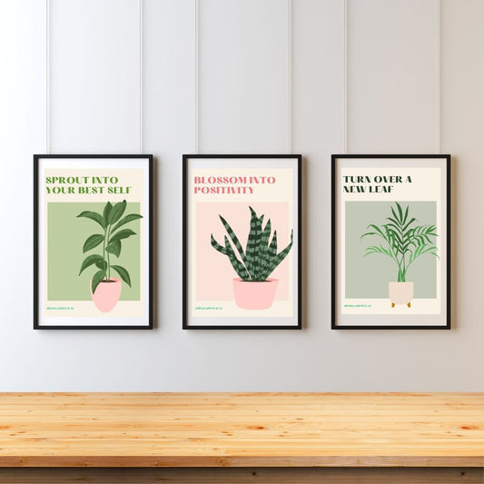 Inspiring Plants - The Collection